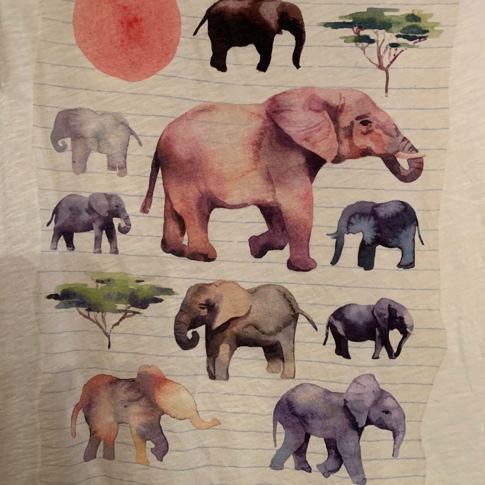 Elephant Sanctuary Garments For Good J.Crew NWT